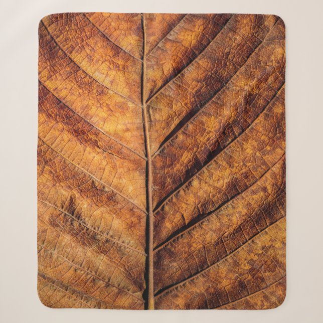 Dry leaf: natural texture background. sherpa blanket (Front)