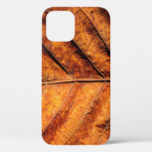 Dry leaf texture background iPhone 12 case