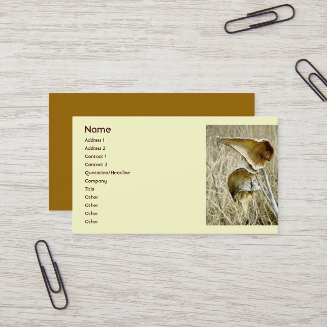 Dry Milkweed Pods Business Card (Front/Back In Situ)