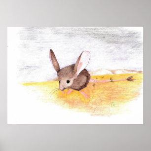 Dry Mouse Poster