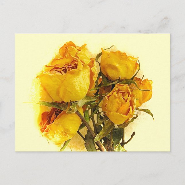 Dry Roses Postcard (Front)
