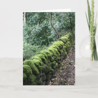Dry stone wall covered in Moss