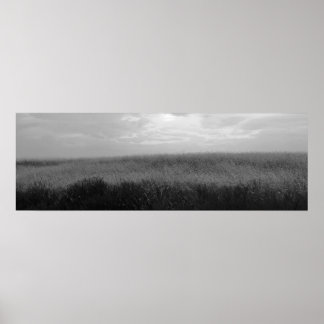 Dry Storm Over Oklahoma Grasslands I (Col Desat) Poster