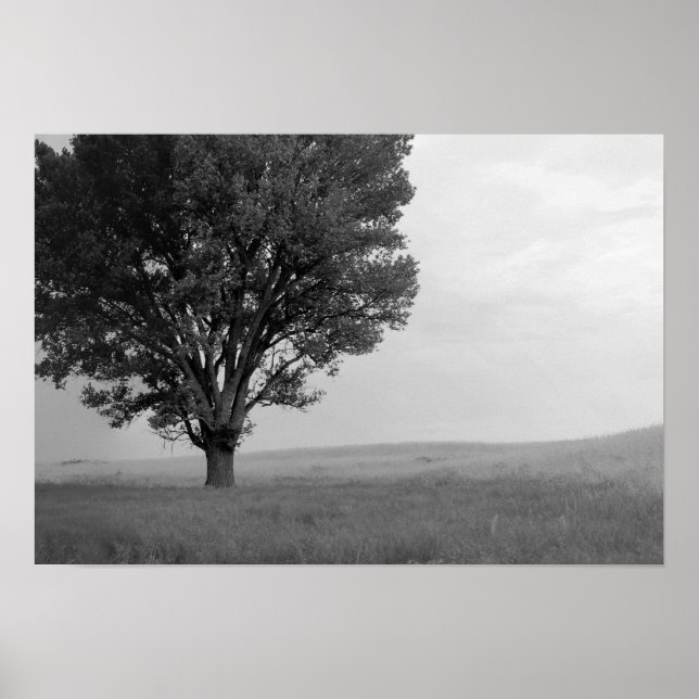 Dry Storm Over Oklahoma Grasslands III (Col Desat) Poster (Front)