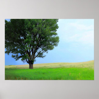 Dry Storm Over Oklahoma Grasslands III (Col Sat) Poster