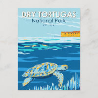 Dry Tortugas National Park Turtle Vintage