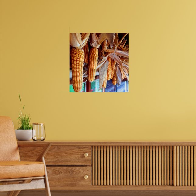 Dry Whole Ear Corn with Husks Poster (Living Room 2)