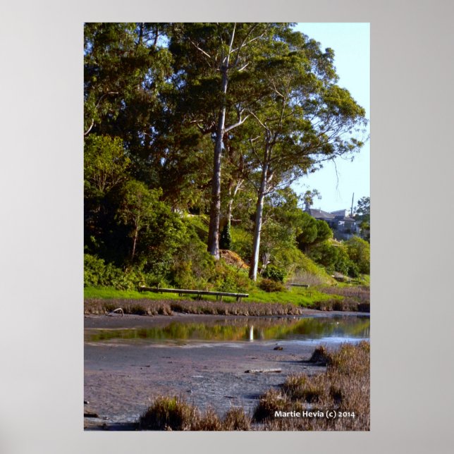 Drying Lake Poster (Front)