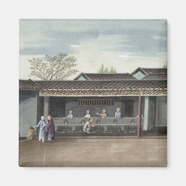 Drying tea leaves (w/c on paper) magnet (Front)