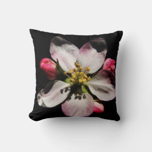 DS Cardamine Pratensis or Apple Blossom tpm Cushion