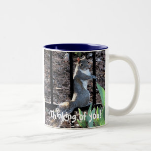 DS- Thinking of you! squirrel mug