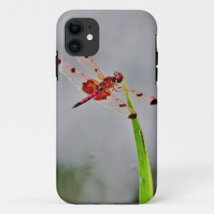 DSC00029.JPG iPhone 11 CASE