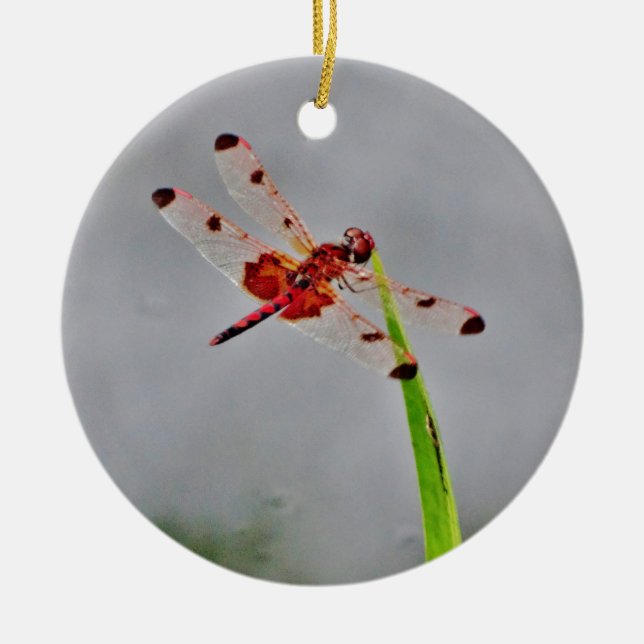 DSC00029.JPG CERAMIC TREE DECORATION (Front)