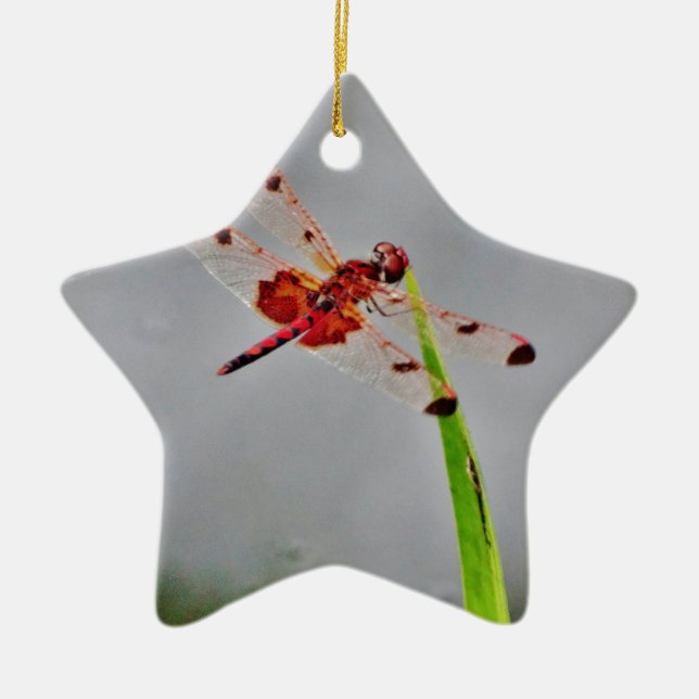 DSC00029.JPG CERAMIC TREE DECORATION (Front)