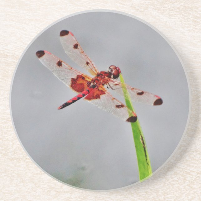 DSC00029.JPG COASTER (Front)