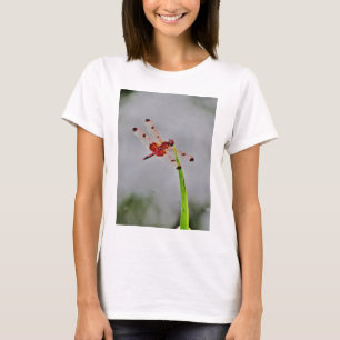 DSC00029.JPG T-Shirt