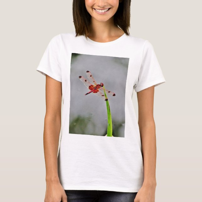 DSC00029.JPG T-Shirt (Front)