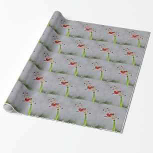 DSC00029.JPG WRAPPING PAPER