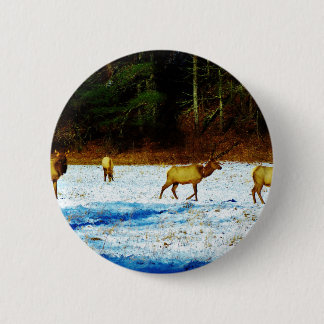 DSC00131.JPG 6 CM ROUND BADGE