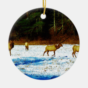 DSC00131.JPG CERAMIC ORNAMENT