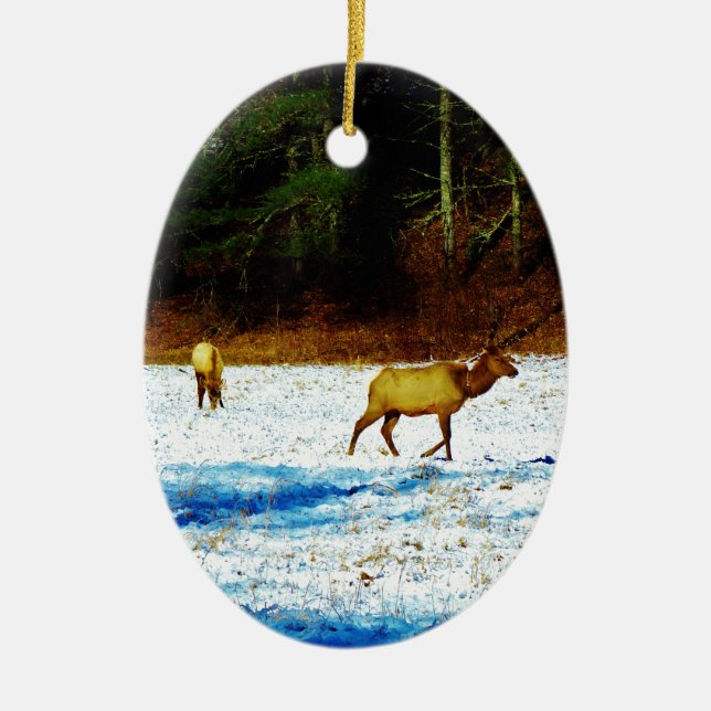 DSC00131.JPG CERAMIC TREE DECORATION (Front)