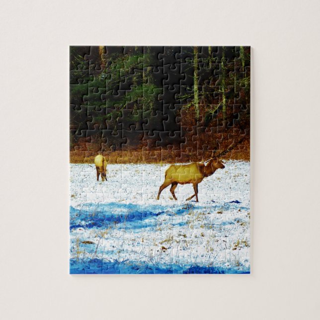 DSC00131.JPG JIGSAW PUZZLE (Vertical)