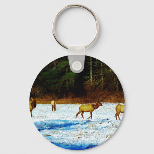 DSC00131.JPG KEY RING