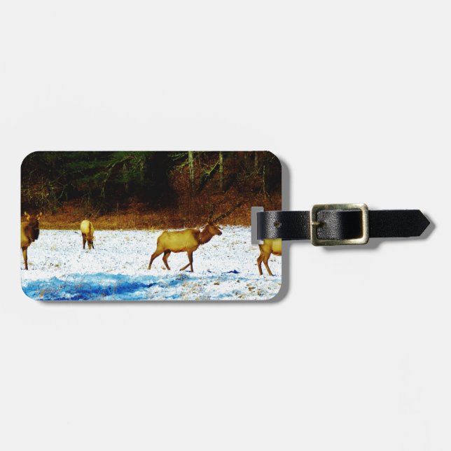 DSC00131.JPG LUGGAGE TAG (Front Horizontal)