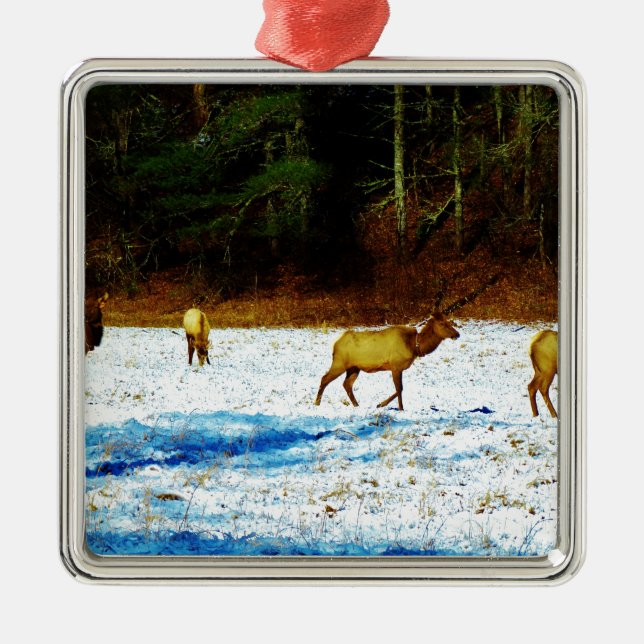 DSC00131.JPG METAL ORNAMENT (Front)