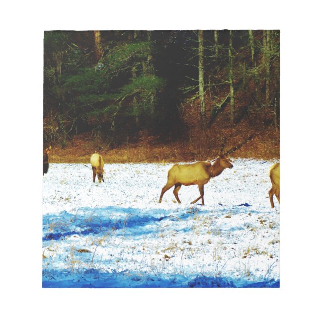 DSC00131.JPG NOTEPAD (Front)