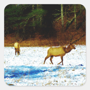 DSC00131.JPG STICKER