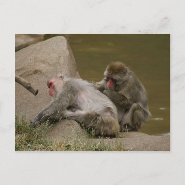 DSC00342 POSTCARD (Front)