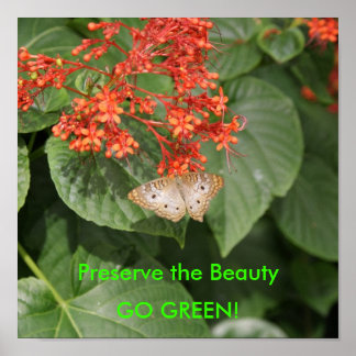 DSC00433, Preserve the Beauty, GO GREEN! Poster