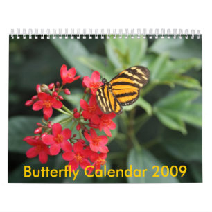 DSC00452, Butterfly Calendar 2009