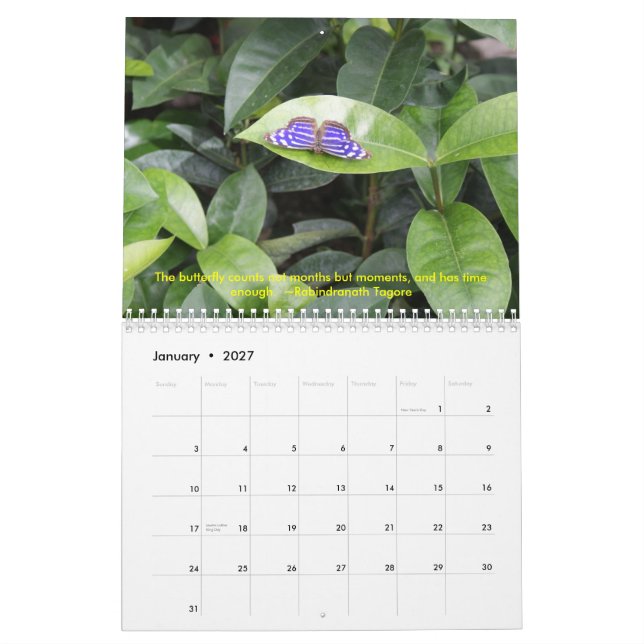 DSC00452, Butterfly Calendar 2009 (Jan 2027)