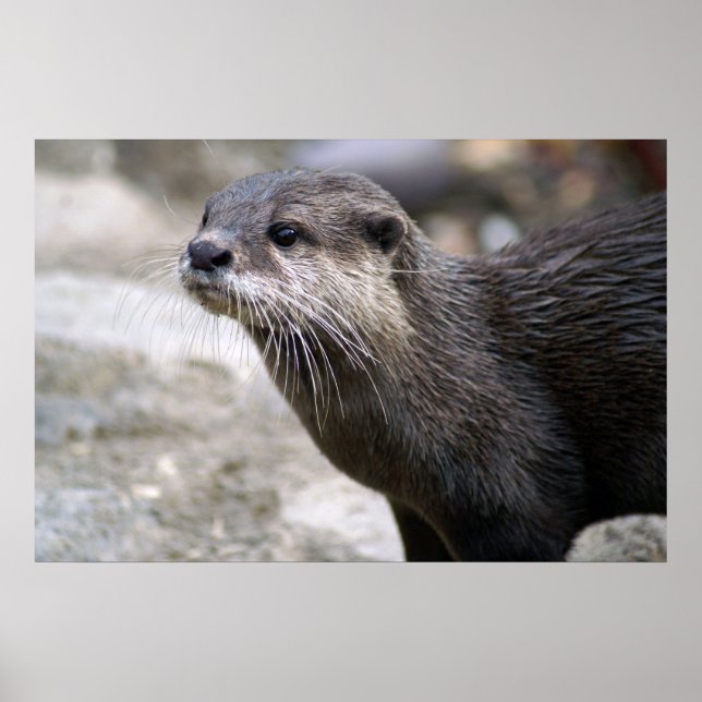 DSC01768 POSTER (Front)