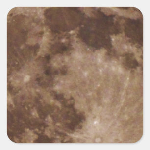 DSC02662.JPG SQUARE STICKER