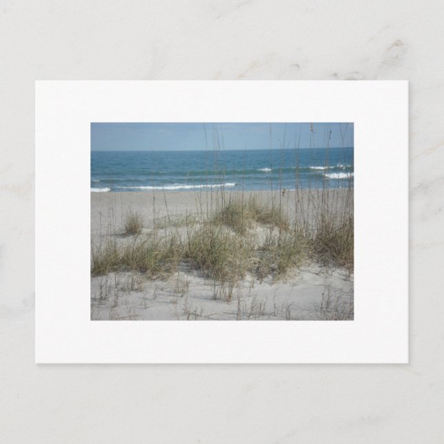 DSC04194, Cocoa Beach, FLPhoto by Julie.B.Carter Postcard (Front)