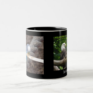 DSC04582, DSC04495, Sally's Mug