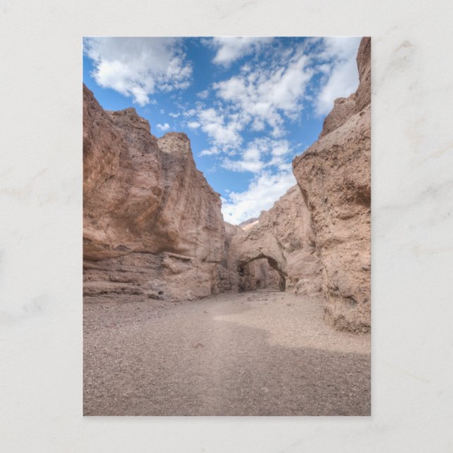 _DSC0513_4_5.jpg Postcard (Front)