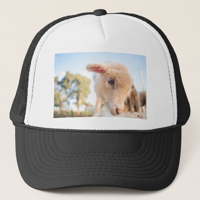 _DSC2491 TRUCKER HAT (Front)