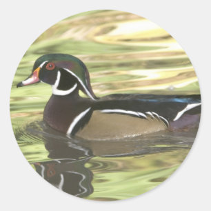 DSC_0454 copy copy Classic Round Sticker