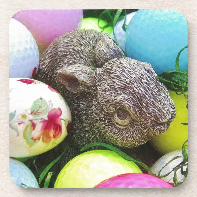 DSCF0438.JPG COASTER (Front)