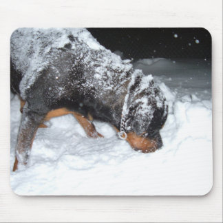 DSCF0448 MOUSE PAD