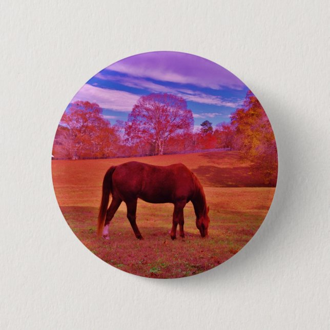 DSCF0536.JPG 6 CM ROUND BADGE (Front)