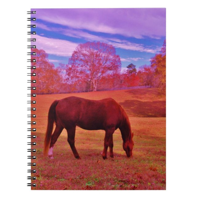 DSCF0536.JPG NOTEBOOK (Front)