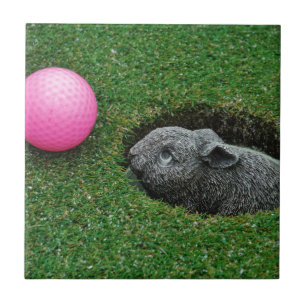 DSCF0652.JPG CERAMIC TILE