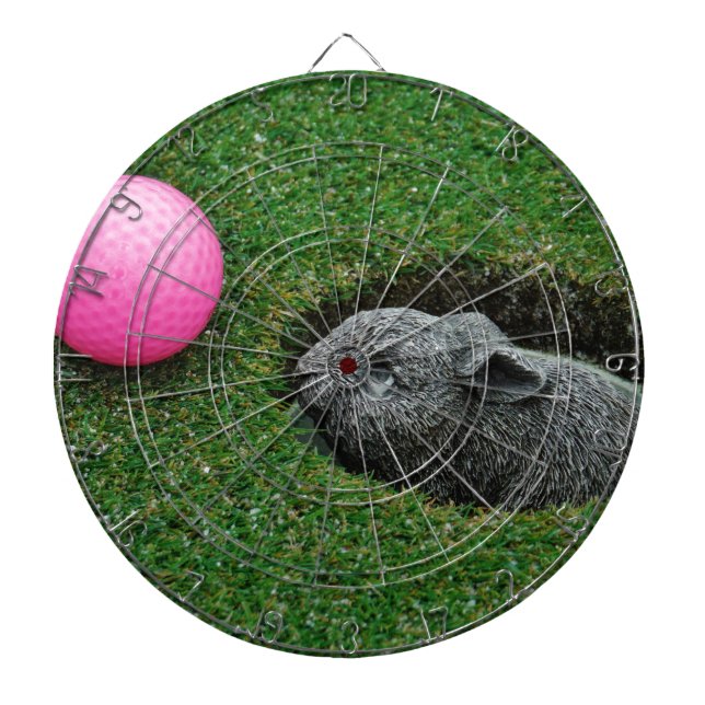 DSCF0652.JPG DARTBOARD (Front)