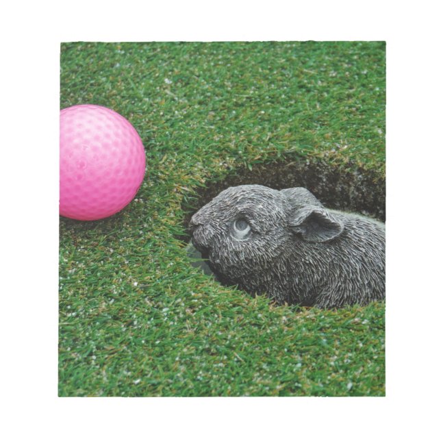 DSCF0652.JPG NOTEPAD (Front)