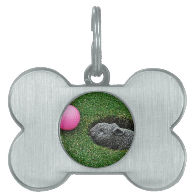 DSCF0652.JPG PET NAME TAG (Front)